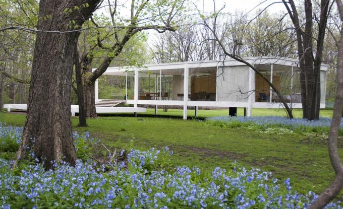 egy emeletes üvegoldalú ház, amelyet a földről emelték a mólókon a vidéki környezetben, fák és kék virágok közepette