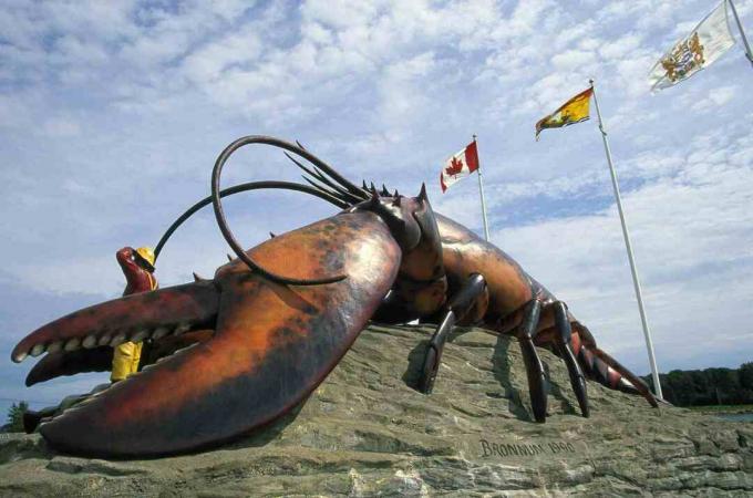 A világ legnagyobb homárja, New Brunswick / Walter Bibikow / Photolibrary / Getty Images