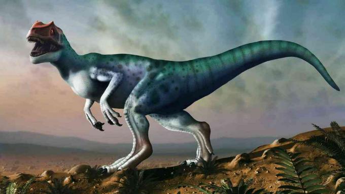 Allosaurus illusztráció