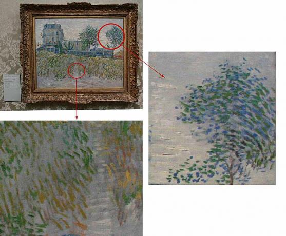 Vincent van Gogh (Ashmolean Múzeum)