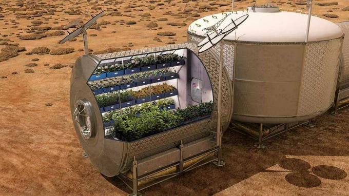 élelmiszer-előállítás a Marson a jövőben.