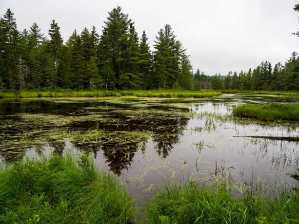 Katahdin erdők és vizek nemzeti emlékműve