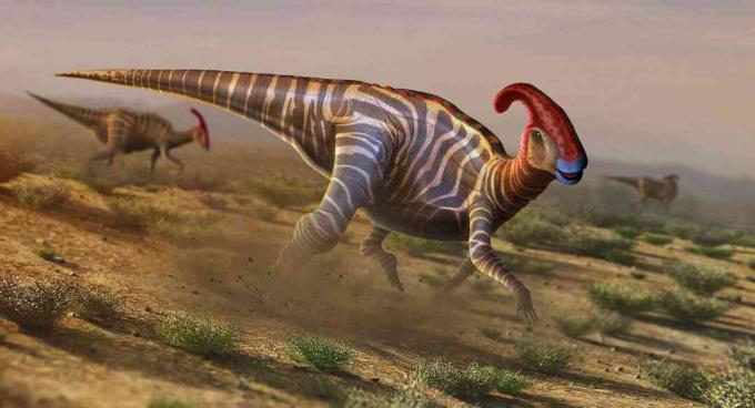 A parasaurolophus műalkotása