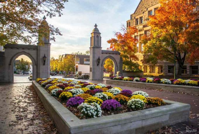 Love My School, különösen ősszel - Bloomingtoni Indiana Egyetem