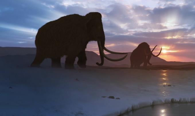 A Tundra mamut alkotása