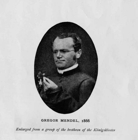Gregor Mendel osztrák botanikus