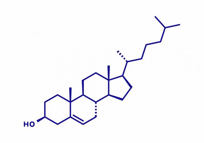 Koleszterin molekula