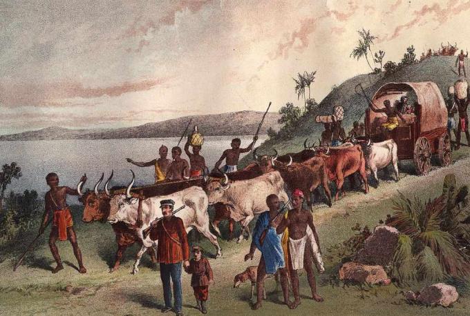 1855 körül: Brit felfedező, David Livingstone érkezése és parti a Ngami-tónál.