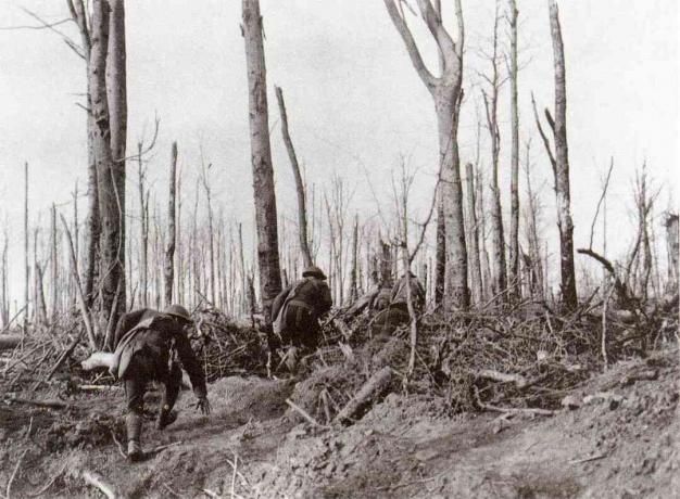 Meuse-Argonne sértő