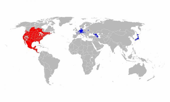 Mosómedve természetes tartomány (piros) és bevezetett tartomány (kék).