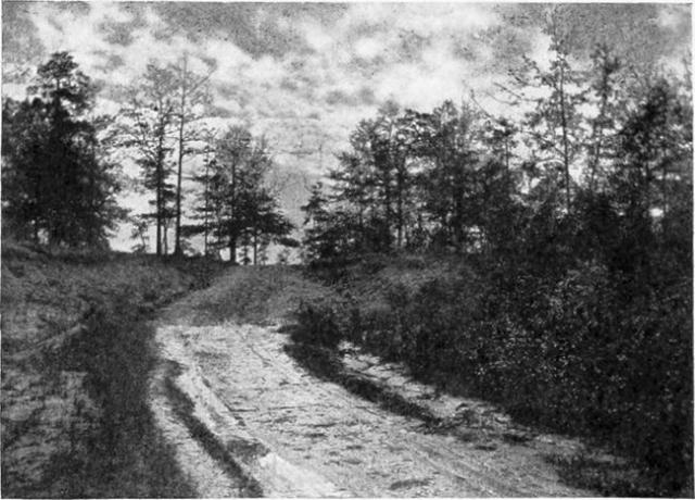 Hely, ahol Aaron Burrt elfogták, Wakefield közelében, Alabama államban.