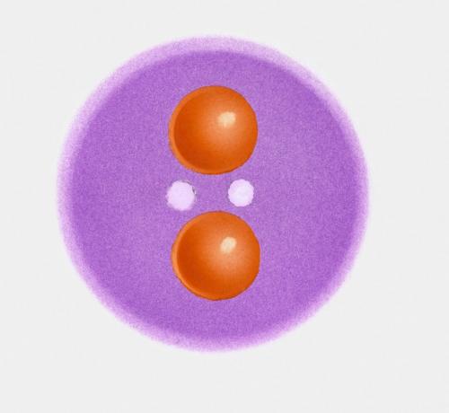 Pi-plus mezon, egy hadron típusú, kvarkokat (narancssárga) és gluonokat (fehér) mutatva
