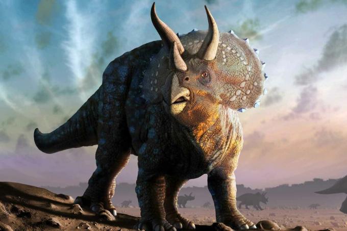 A Triceratops dinoszaurusz.