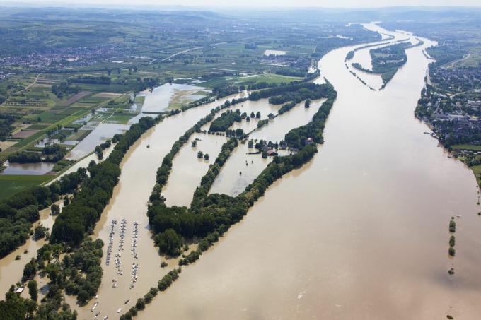 Németország, Hesse, Eltville, a Rajna folyó Koenigskling Aue szigetének elárasztása, légifotó